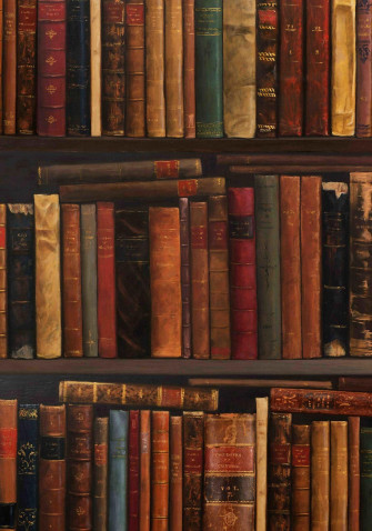 Bookshelf Wallpaper