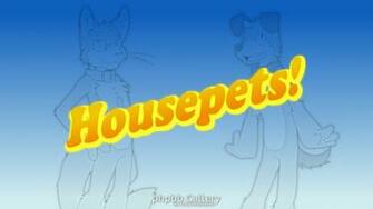 Housepets Image Wallpaper