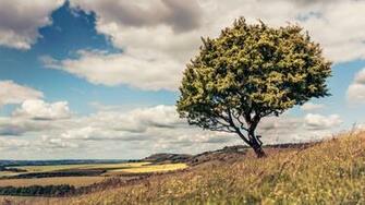 Awesome Nature Ultra HD 4k Wallpaper Set