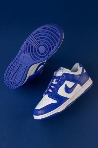 Dunk Low Retro Kentucky Stadium Goods Shoes Sneakers Nike