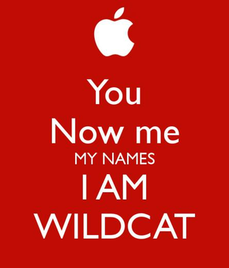 You Now Me My Names I Am Wildcat Keep Calm And Carry On Image