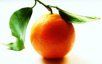 Orange Fruit Wallpaper