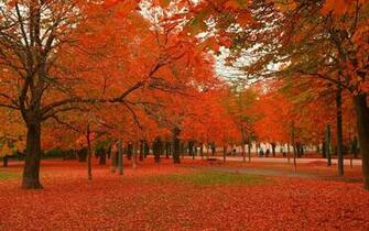 Season Beauty Wallpaper Winter Autumn Summer Spring Gif Flower