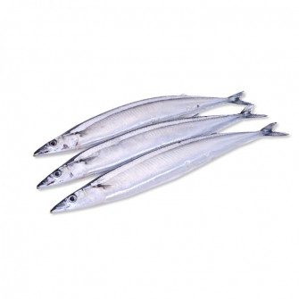 Pacific Saury Wallpaper