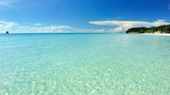Summer Wallpaper Image Inside