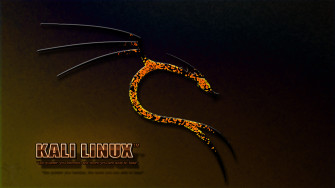 Kali Linux Wallpaper