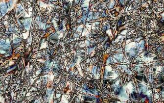 Best Pollock Background Jackson