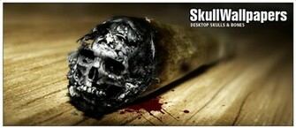 Search Wallpaper Categories Artistic Skulls Funny Pirate