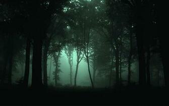 Dark Forest HD Wallpaper Background Of Your Choice