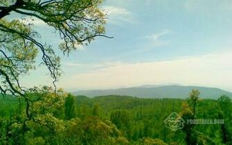 Desktop Wallpaper Onam Vector Widescreen Mulberry