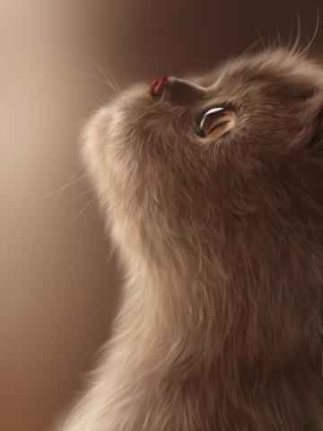 Cat Digital Art Fluffy Cute Neko Domestic Long Haired