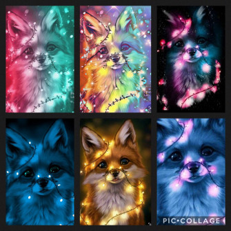 Cute Fox S Animal Drawings Photos