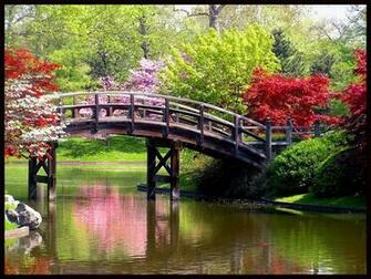 Computer Desktop HD Online Photos Pictures Wallpaper