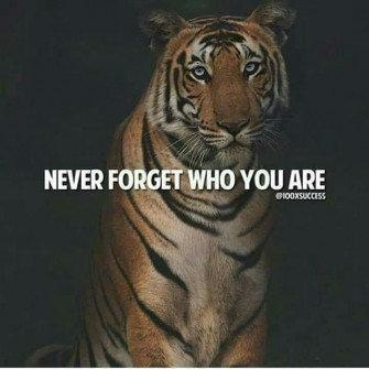 Jeannette Vos On Be Positive Tiger Quotes Inspirational
