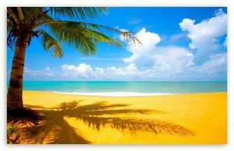 Summertime Wallpaper Gorgeous Beach In