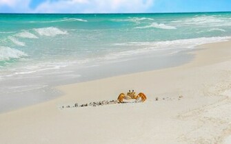 White Sand Wallpaper