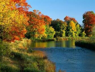 Beautiful Red Leaf Canada Scenery Wallpaper