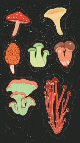 Take Me To The Woods Art About Nature