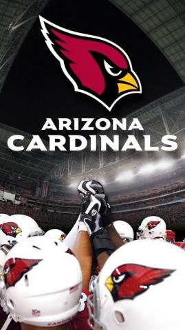 Cardinals Wallpaper Font Line Wrapping Paper Art