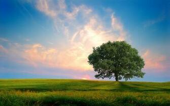 Fresh Nature Wallpaper HD