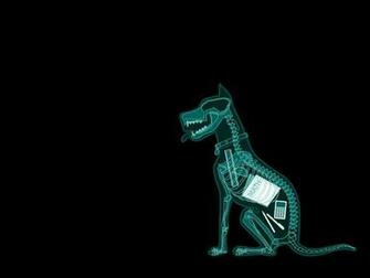 Dogs Xray Wallpaper Animals HD Desktop