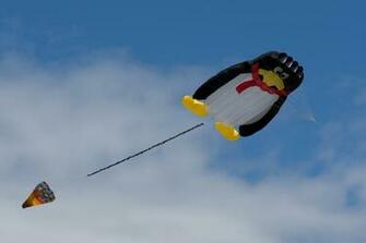 Wallpaper Kite Festival Makar Sankranti Fresh HD