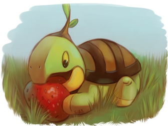 Turtwig Wallpaper HD By Etomo