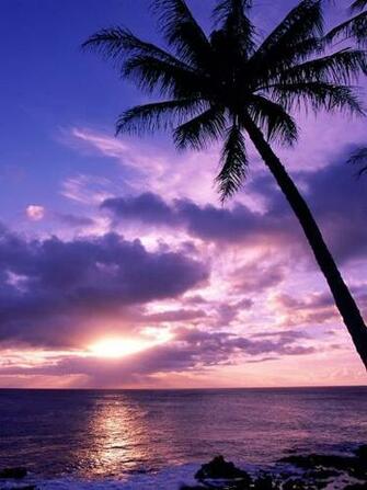 Tahitian Paradise Sunrise Beach iPad iPhone HD Wallpaper