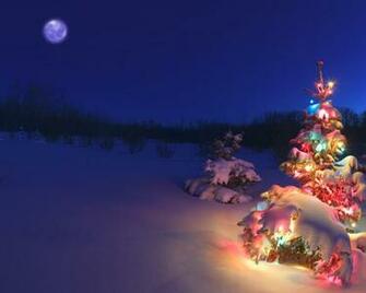 Christmas Tree In The Snow Desktop Pc And Mac Wallpaper