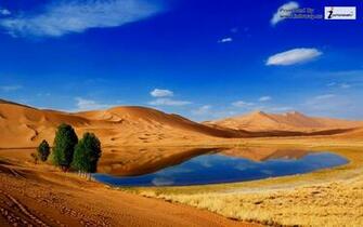 Desert Oasis HD Photo Of Phombo