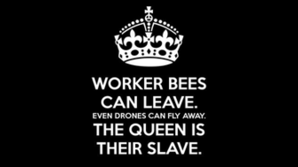Like A Boss Wallpaper My At Work Until