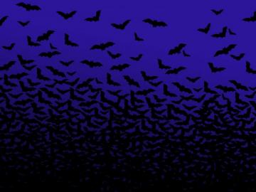 Bat Wallpaper HD For Desktop Background