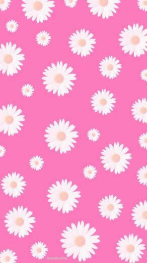 Wallpaper And Background