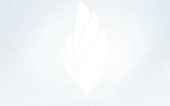 Background Image Interactive Projects Background Contact