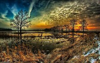 Early Winter Day Wallpaper