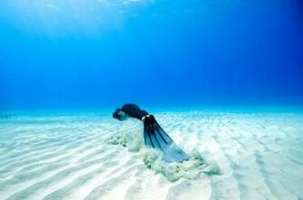Diving Underwater Dive Photography Training In
