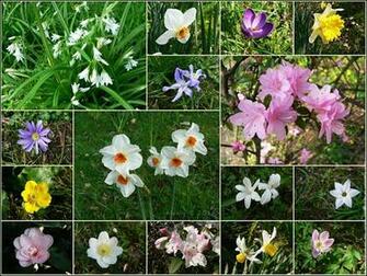 First Day Of Spring HD Wallpaper Photography