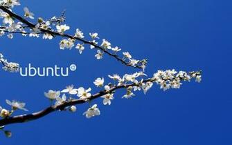 Ubuntu Wallpaper Blue