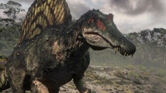 Spinosaurus Wallpaper Ing Gallery