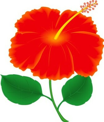 Hawaiian Flower Clipart HD Wallpaper Background In Flowers