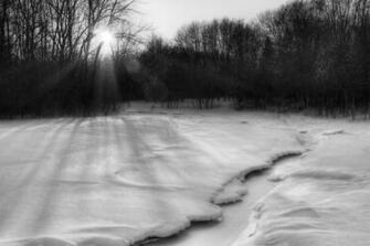 Snowscape Desktop And Mobile Wallpaper Wallippo