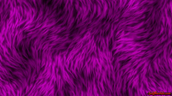 HD Furry Purple Wallpaper