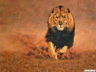 Animal Wallpaper Lion HD
