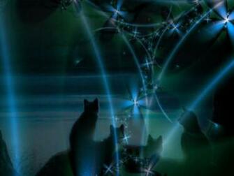 Warriors Cats Background