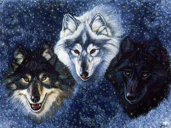 Mind Blowing Pictures Of Wolves Lolhug