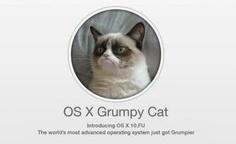 But At The Very Least You Can Have Os X Grumpy Cat Wallpaper