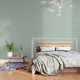 Palladian Blue Pale Soft Green Satin Solid Matte Colour