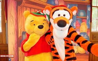High Definition Wallpaper Photo Tigger Html