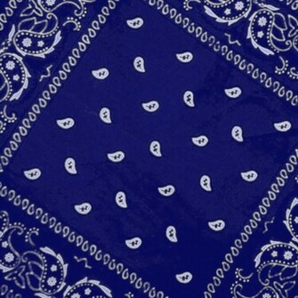 Julizia Blue Bandana Graphics Code Comments