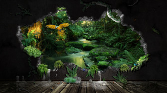 Jungle Wallpaper HD